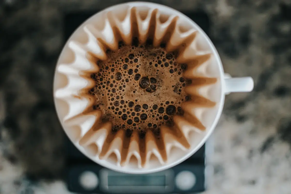 ペーパーフィルターをセットしたドリッパーの中で、お湯を含んだコーヒー粉がふくらんでいる様子を上から見たところ