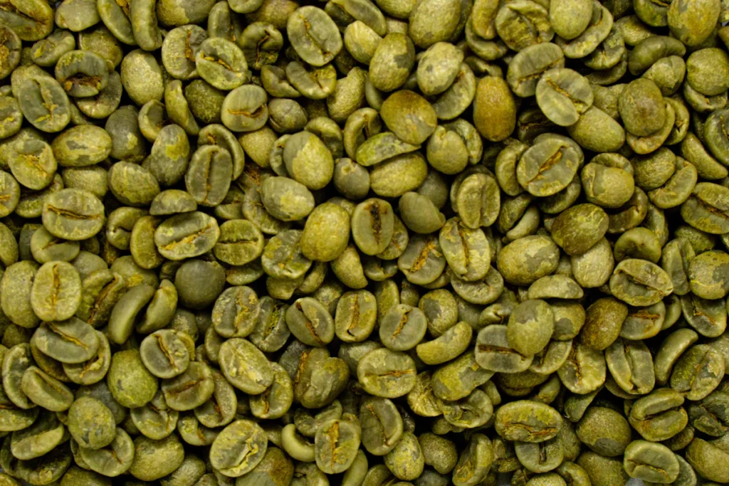 一面に広がった、焙煎前の緑色のコーヒー生豆